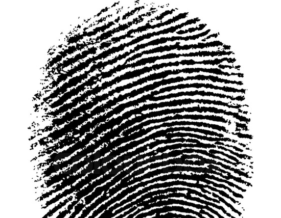 (c) Staatsdomäne Hohrainhof